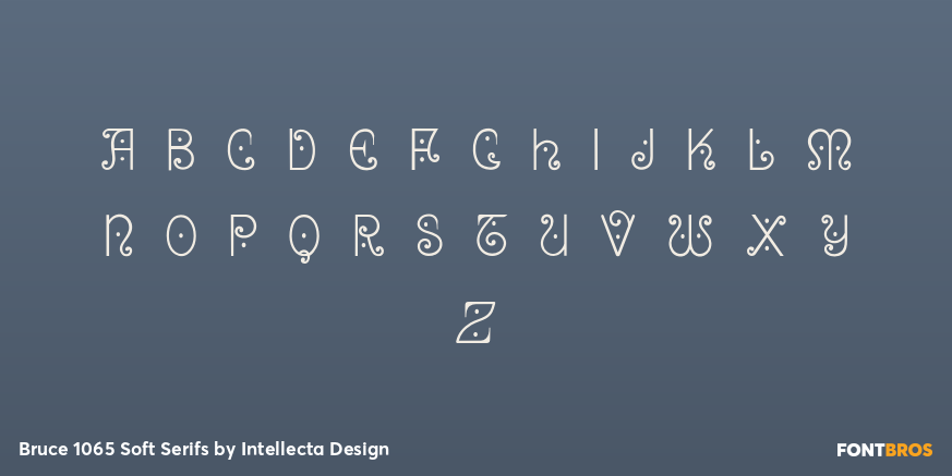 Bruce 1065 Soft Serifs Font Poster #1