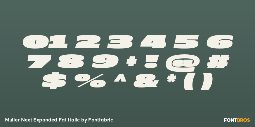 Muller Next Expanded Fat Italic Font Poster #4