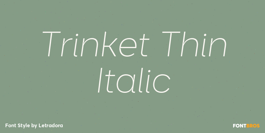 Trinket Thin Italic Font Poster #1