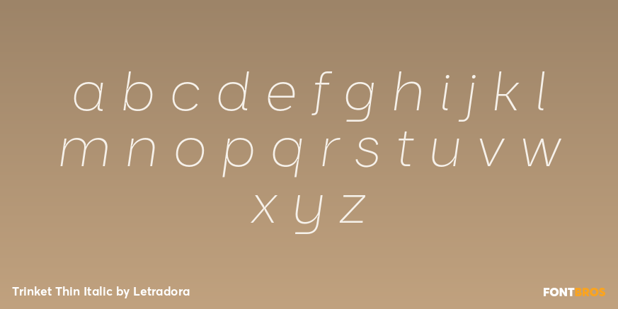 Trinket Thin Italic Font Poster #3