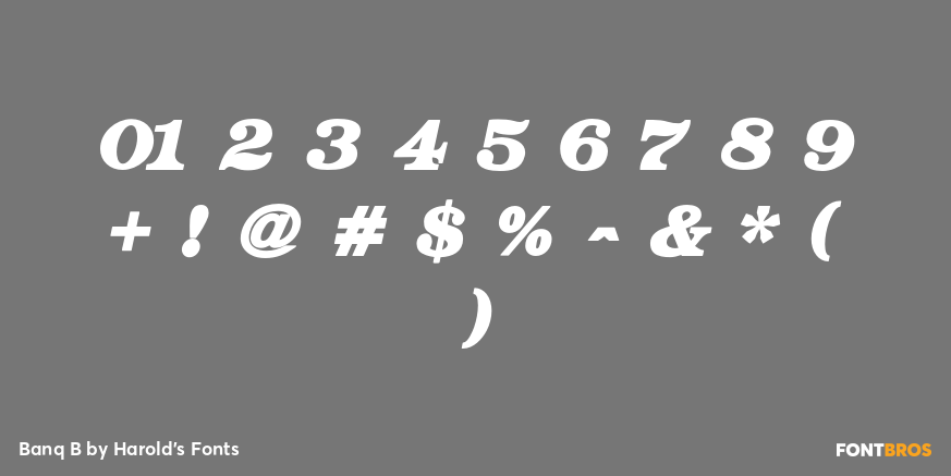 Banq B Font Poster #4