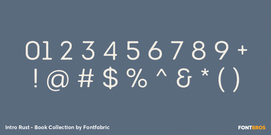 Intro Rust - Book Collection Font Poster #1