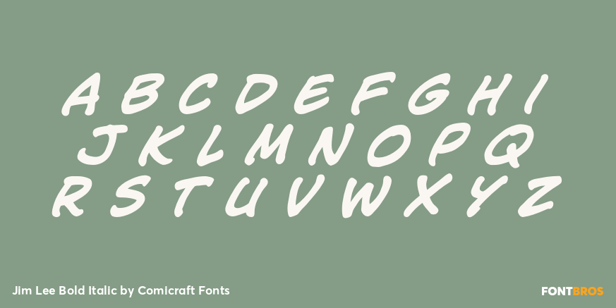 Jim Lee Bold Italic Font Poster #2