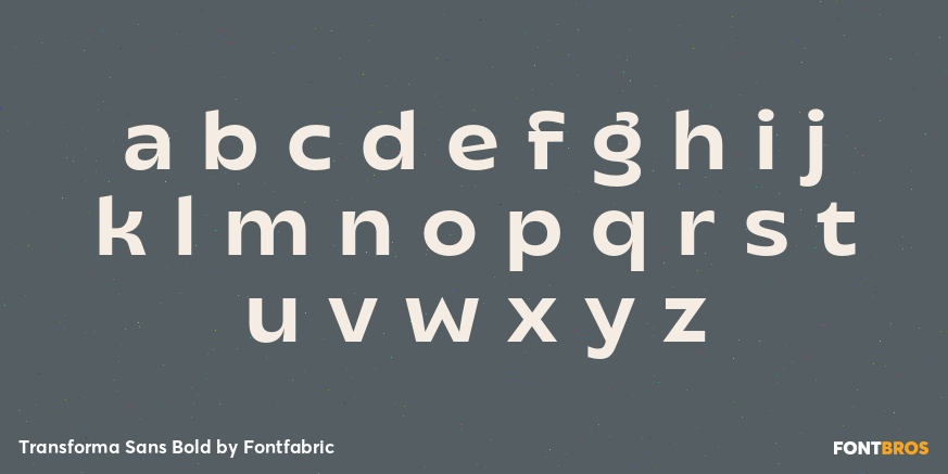 Transforma Sans Bold Font Poster #3