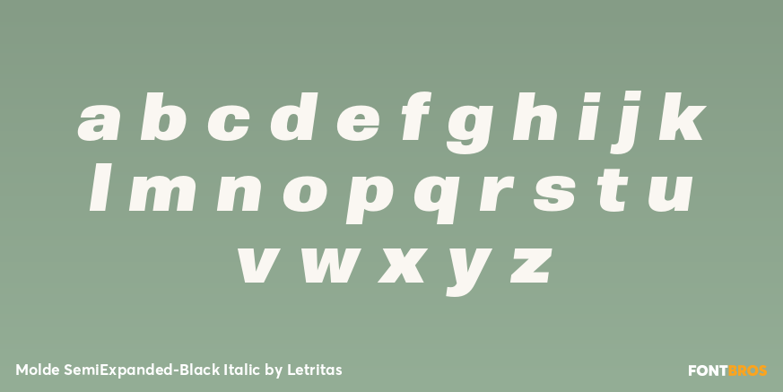 Molde SemiExpanded-Black Italic Font Poster #3