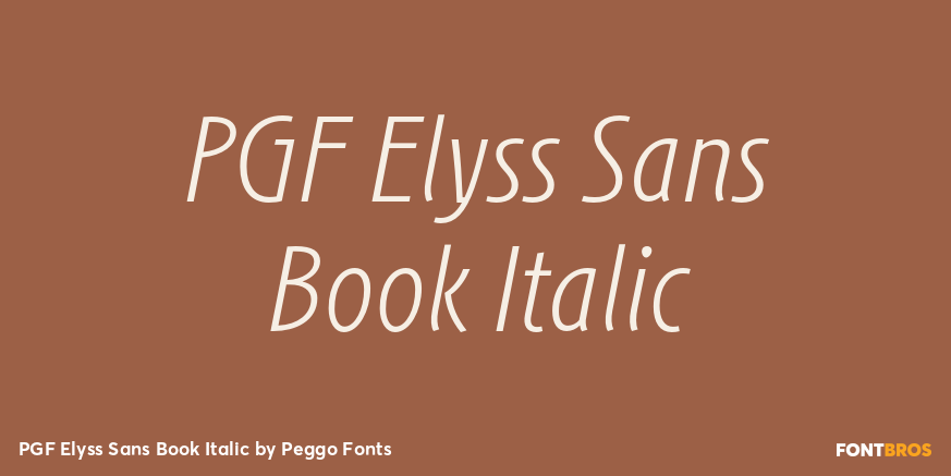 PGF Elyss Sans Book Italic Poster