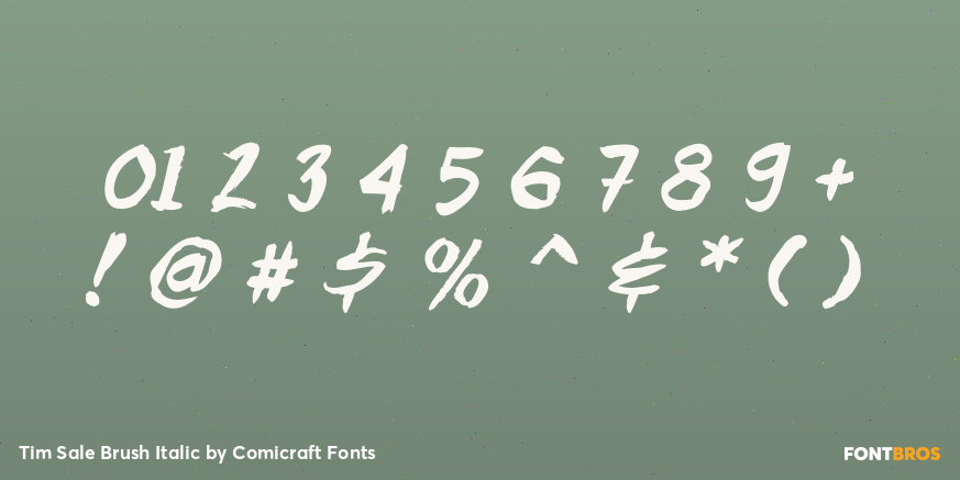 Tim Sale Brush Italic Font Poster #4