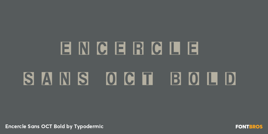 Encercle Sans OCT Bold Font Poster #1