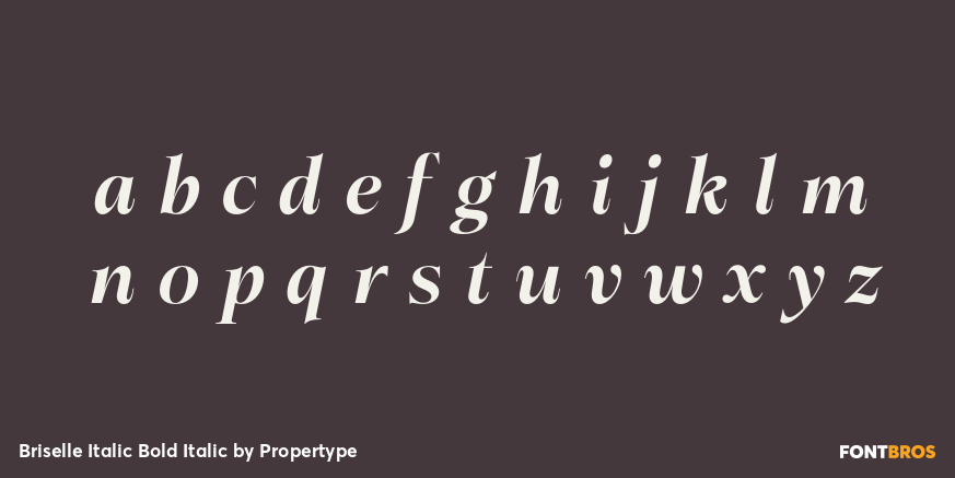 Briselle Italic Bold Italic Font Poster #3