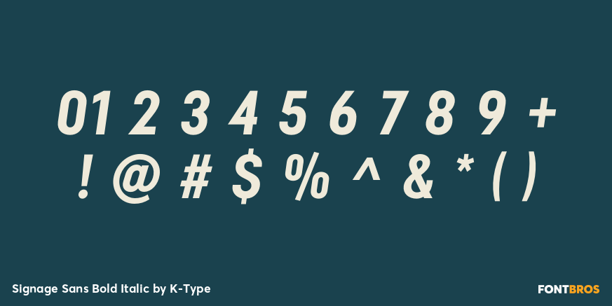 Signage Sans Bold Italic Font Poster #1
