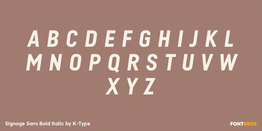 Signage Sans Bold Italic Font Poster #1