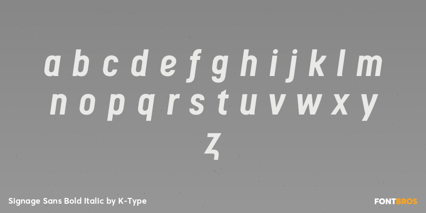 Signage Sans Bold Italic Font Poster #1
