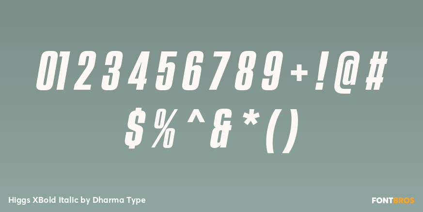 Higgs XBold Italic Font Poster #4