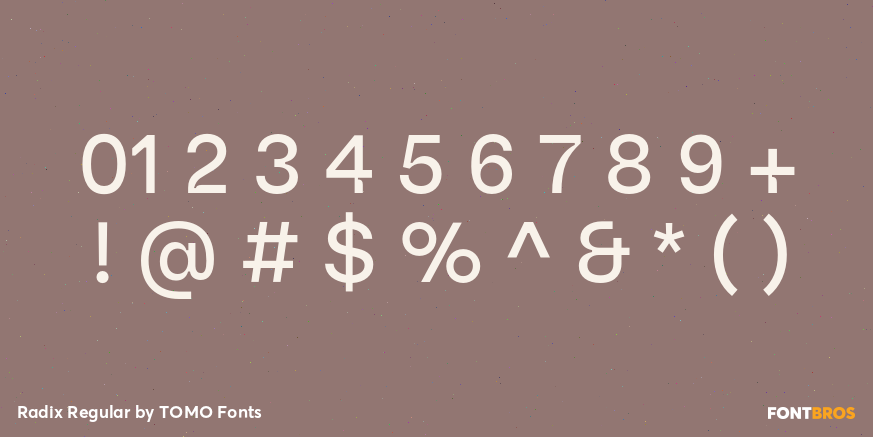Radix Regular Font Poster #4