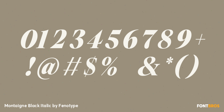 Montaigne Black Italic Font Poster #1
