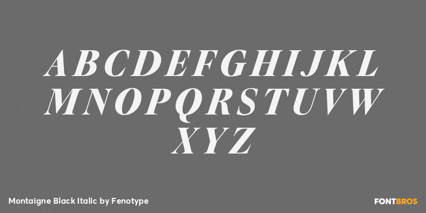 Montaigne Black Italic Font Poster #2