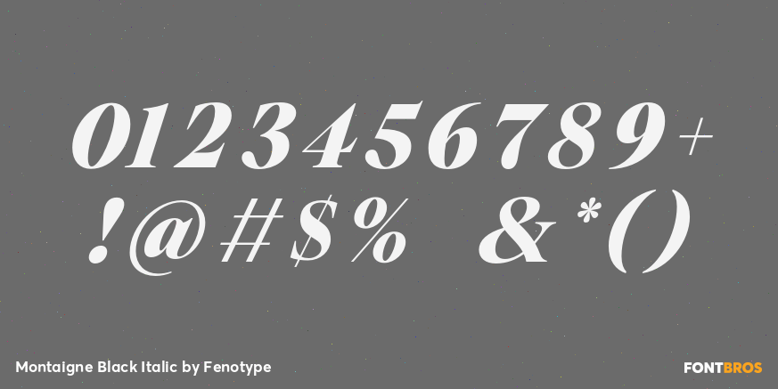 Montaigne Black Italic Font Poster #4