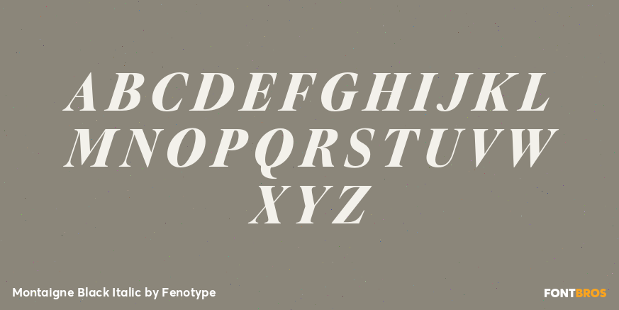 Montaigne Black Italic Font Poster #1