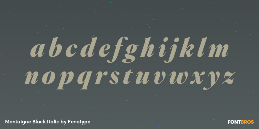 Montaigne Black Italic Font Poster #1