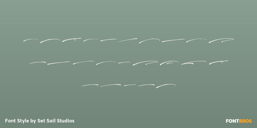 Checkpoint Signature Swash Poster