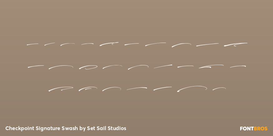 Checkpoint Signature Swash Font Poster #2