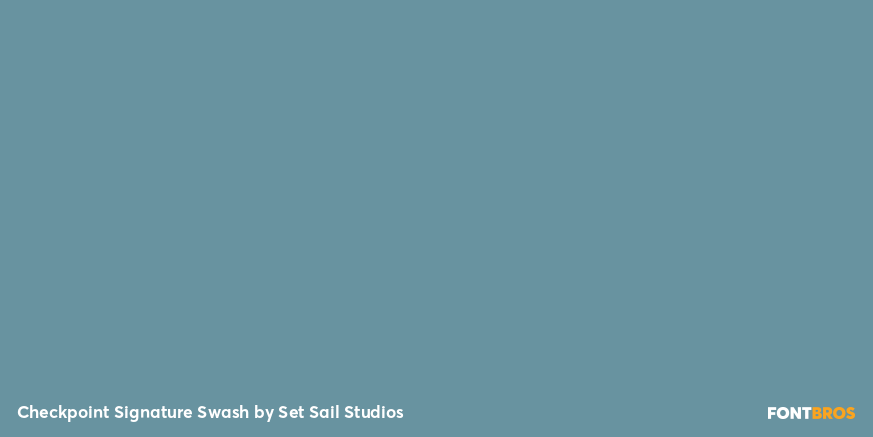 Checkpoint Signature Swash Font Poster #4