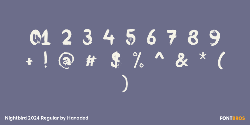 Nightbird 2024 Regular Font Poster #1