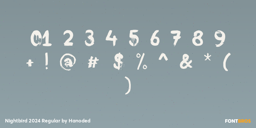 Nightbird 2024 Regular Font Poster #4