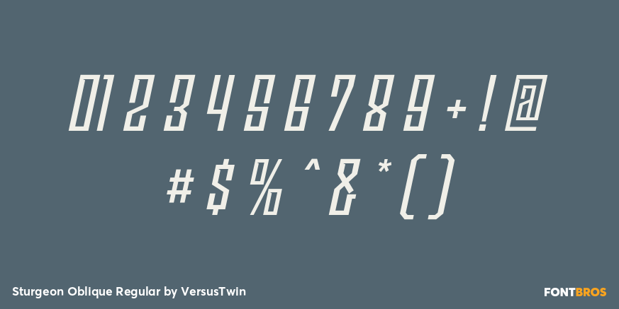 Sturgeon Oblique Regular Font Poster #4
