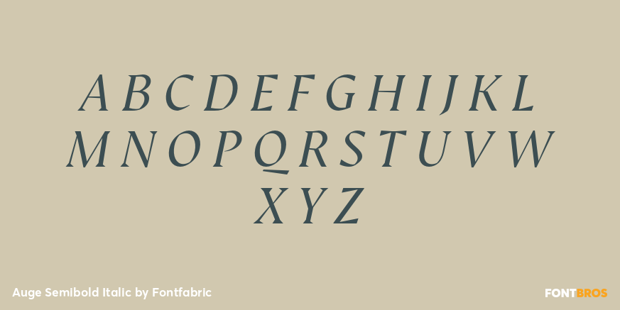 Auge Semibold Italic Font Poster #2