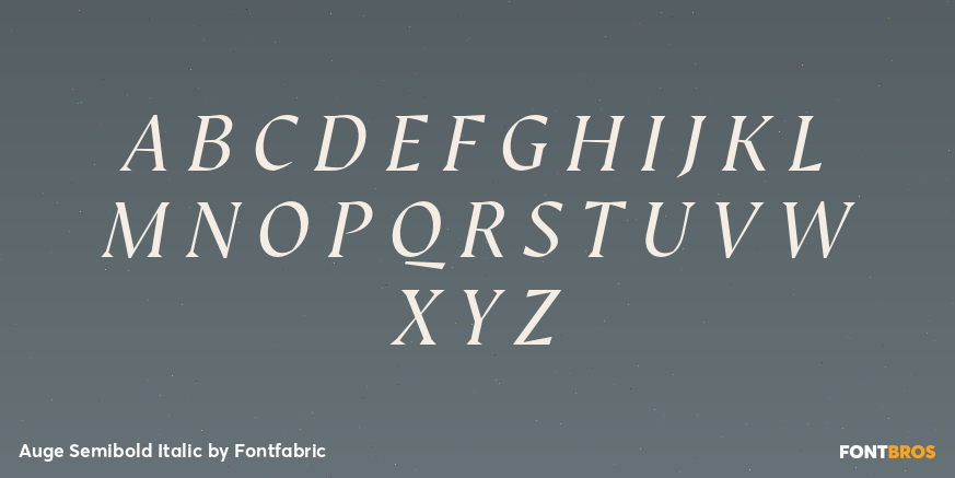 Auge Semibold Italic Font Poster #2