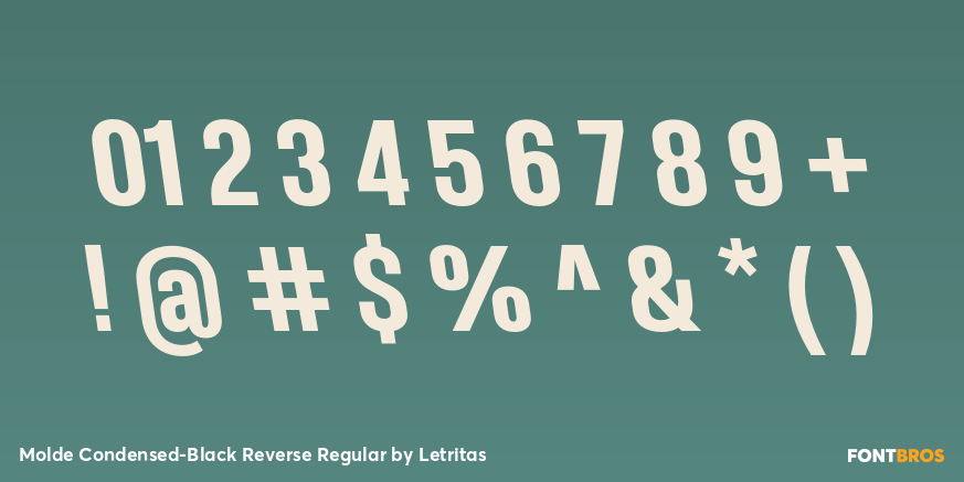 Molde Condensed-Black Reverse Regular Font Poster #4