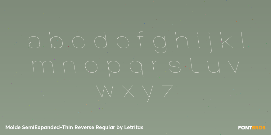 Molde SemiExpanded-Thin Reverse Regular Font Poster #3