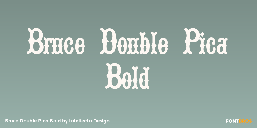 Bruce Double Pica Bold Poster