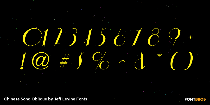 Chinese Song Oblique Font Poster #4