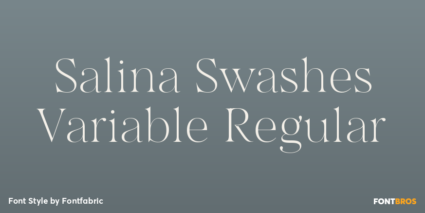 Salina Swashes Variable Regular Poster