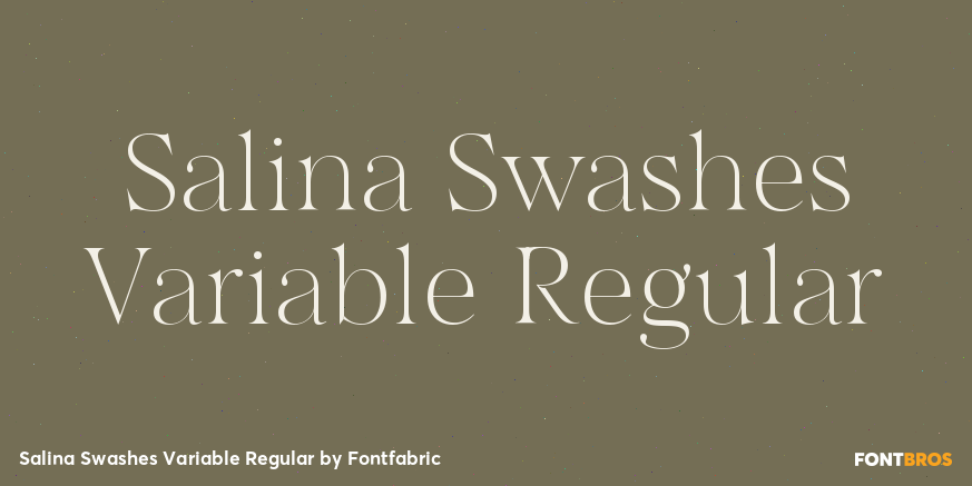 Salina Swashes Variable Regular Poster