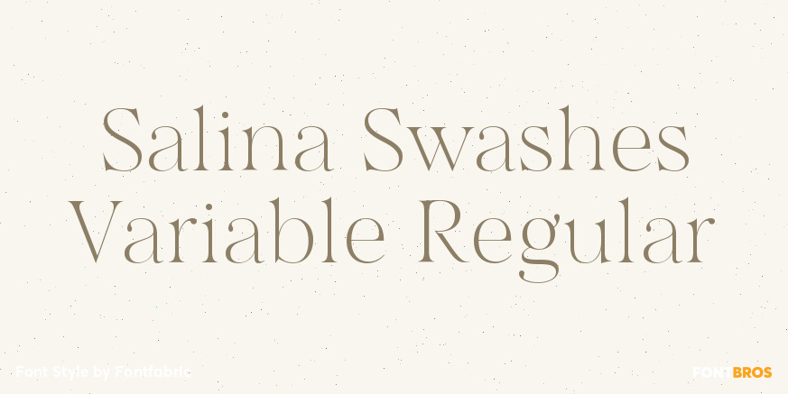 Salina Swashes Variable Regular Poster