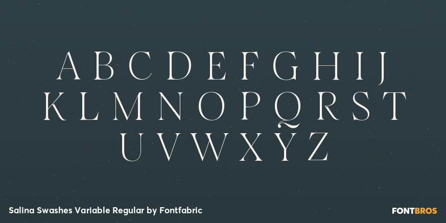 Salina Swashes Variable Regular Font Poster #2