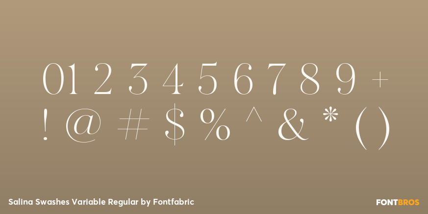 Salina Swashes Variable Regular Font Poster #4