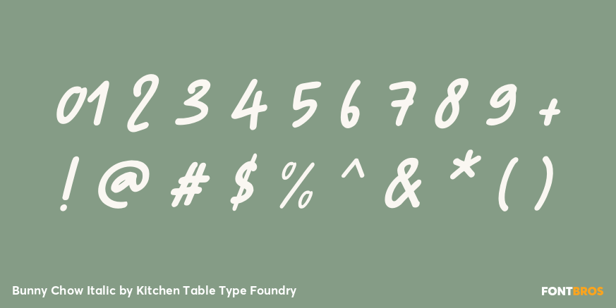Bunny Chow Italic Font Poster #4