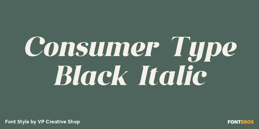 Consumer Type Black Italic Font Poster #1