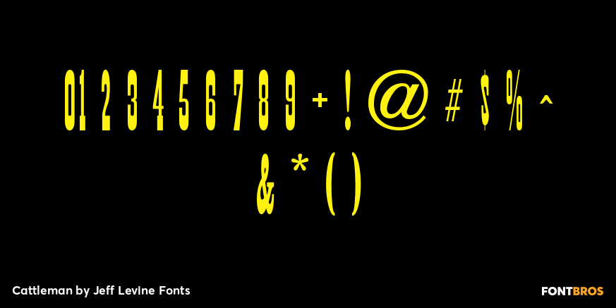 Cattleman Font Poster #4