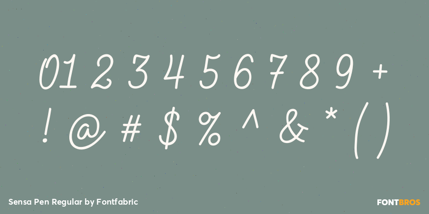 Sensa Pen Regular Font Poster #1