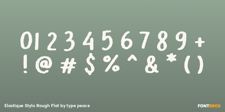 Elastique Stylo Rough Flat Font Poster #1
