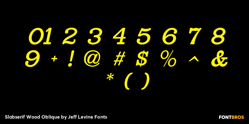 Slabserif Wood Oblique Font Poster #4