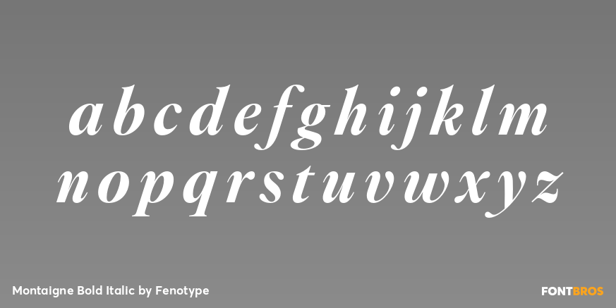 Montaigne Bold Italic Font Poster #3
