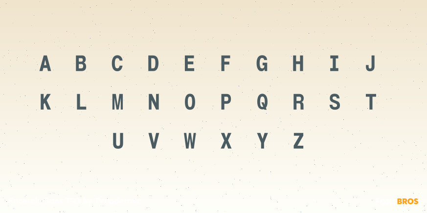 Encercle Sans TR3 Font Poster #1