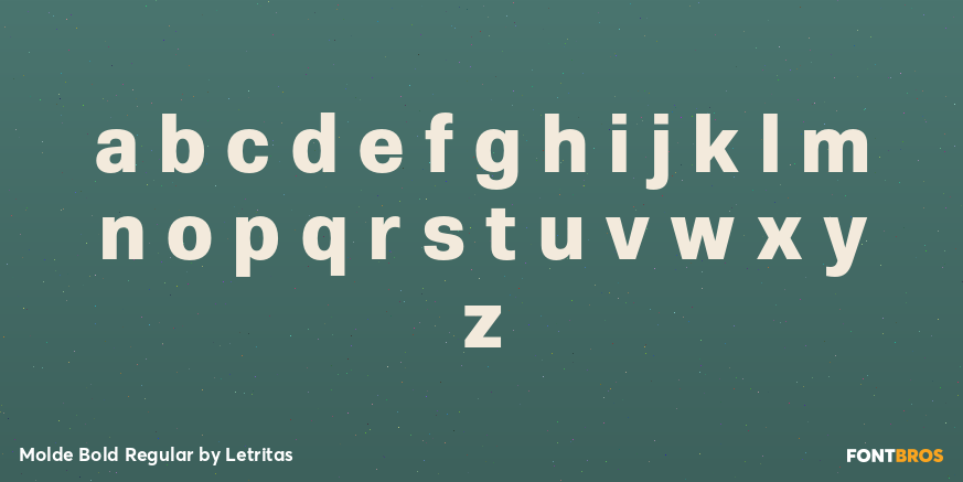 Molde Bold Regular Font Poster #3