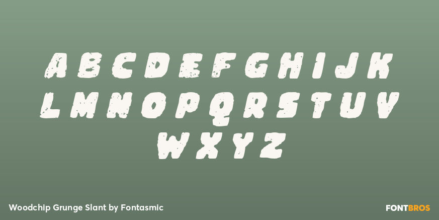 Woodchip Grunge Slant Font Poster #2